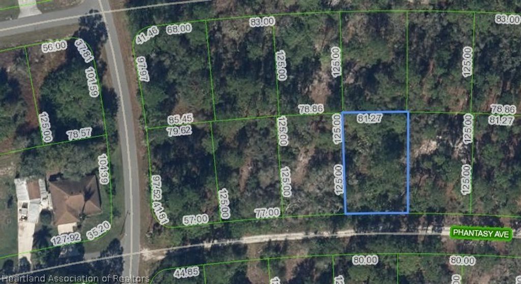 264 Phantasy Avenue, Lake Placid, FL 33852