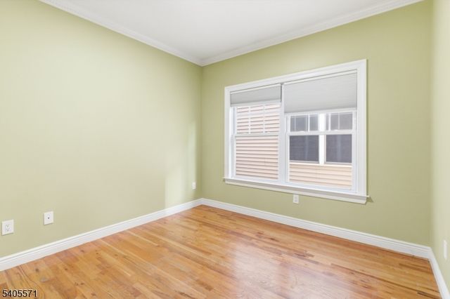 21 Freeman St A2, Newark City, NJ 07105