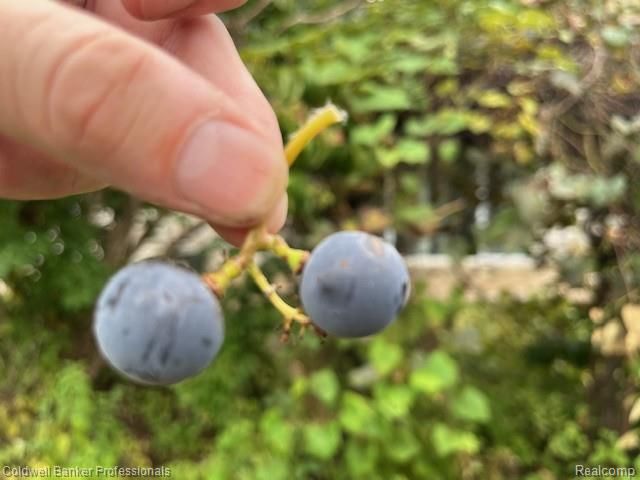 3972 Chevron Drive, Highland Charter Township, MI 48356