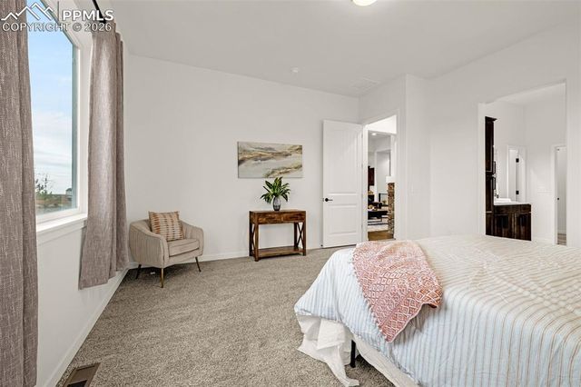 10139 Owl Perch Loop, Colorado Springs, CO 80908