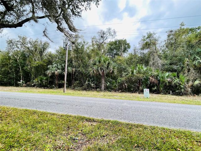 0 NE 245TH STREET ROAD, Fort Mc Coy, FL 32134