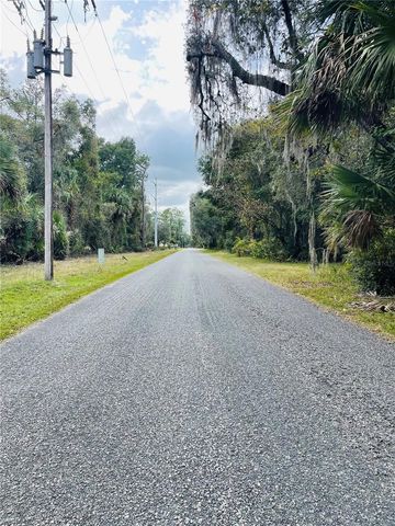 0 NE 245TH STREET ROAD, Fort Mc Coy, FL 32134