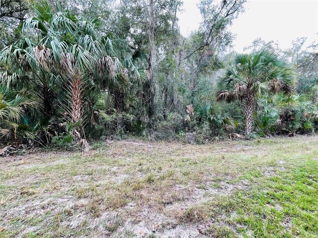 0 NE 245TH STREET ROAD, Fort Mc Coy, FL 32134
