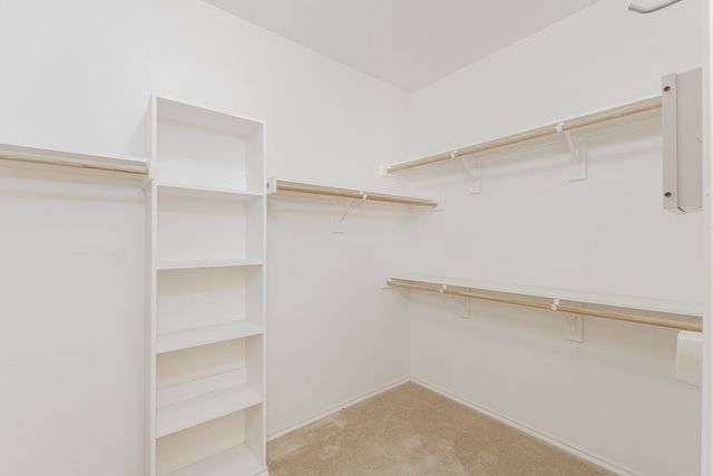 6811 Gamecock Court, Greenville, TX 75402