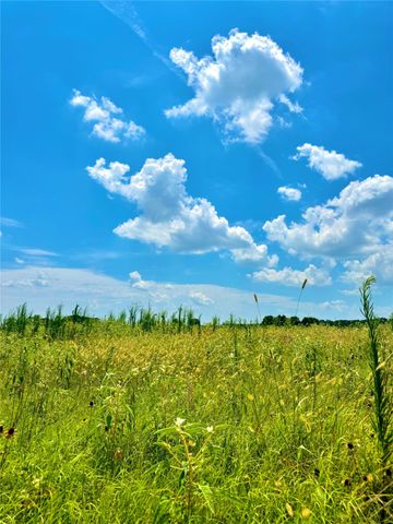 TBD Tracts 23 & 24 County Rd 3644, Saltillo, TX 75471