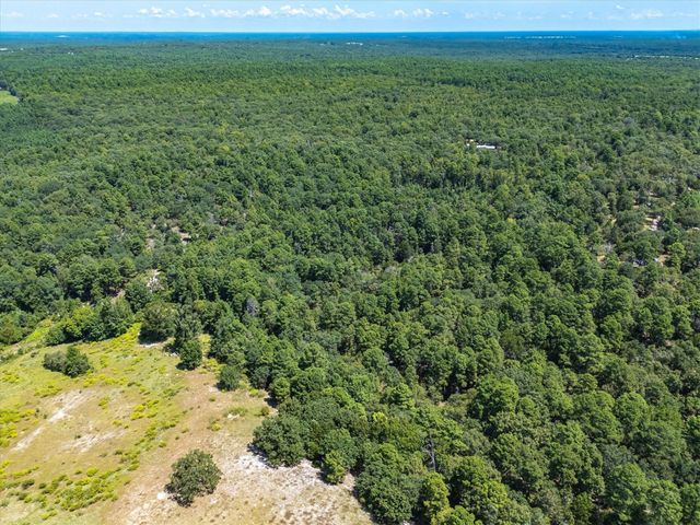 TBD Private Road 8556, Winnsboro, TX 75494