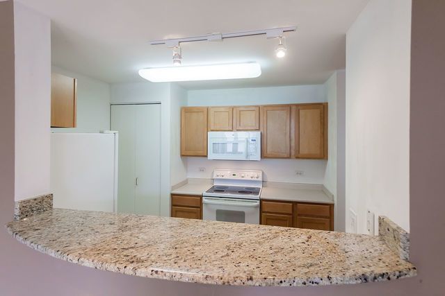 345 N LaSalle Drive 2004, Chicago, IL 60654