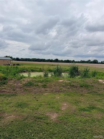 55224 Buffalo Lane, New London, MO 63459