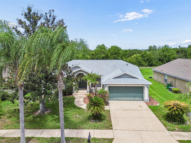1531 CANOE DRIVE, Lutz, FL 33559