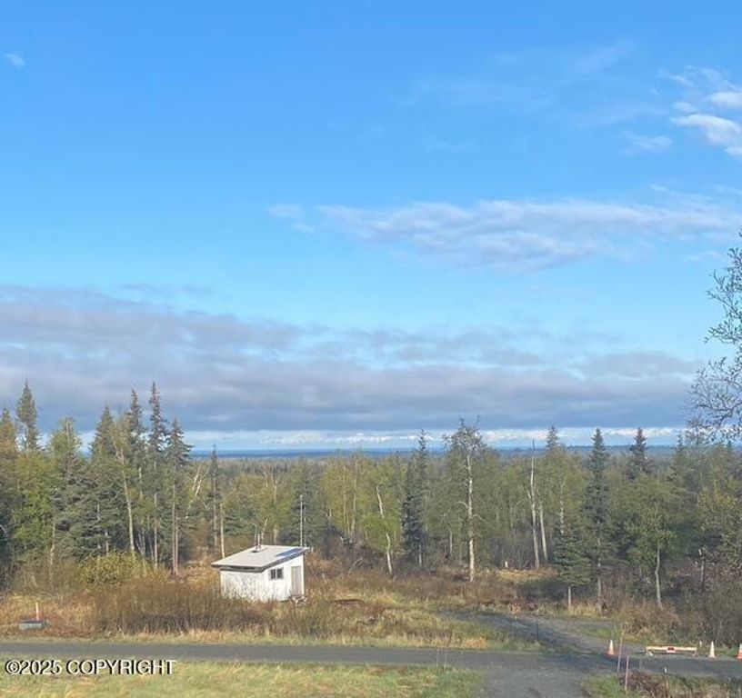 32603 Rickard Street, Lot 3B, Anchor Point, AK 99556