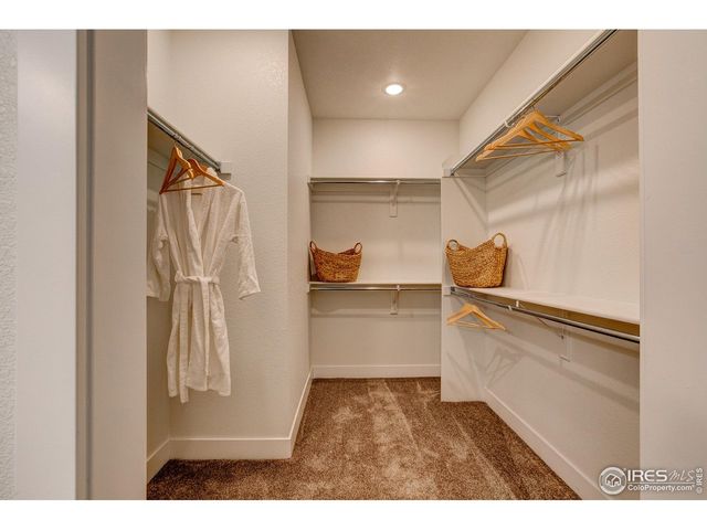 3425 Triano Creek Dr 101, Loveland, CO 80538