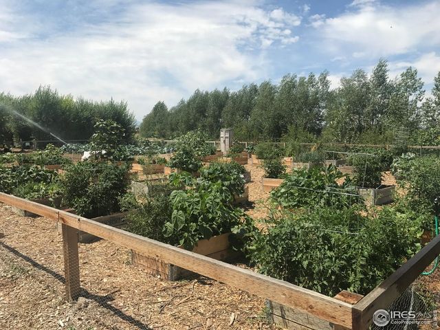 3425 Triano Creek Dr 101, Loveland, CO 80538