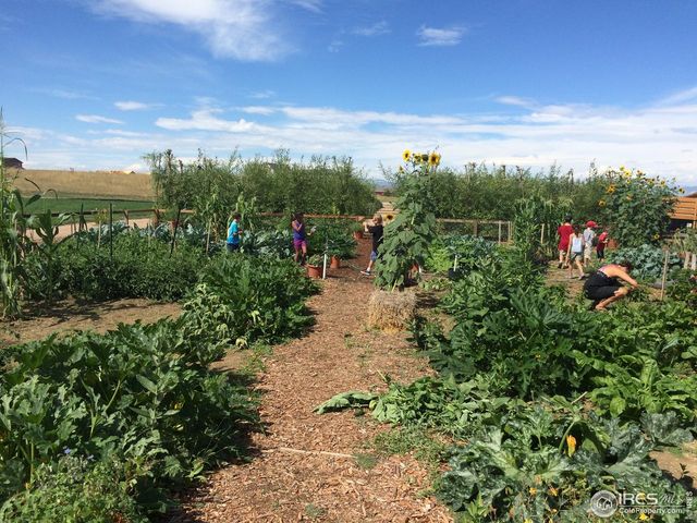 3425 Triano Creek Dr 101, Loveland, CO 80538