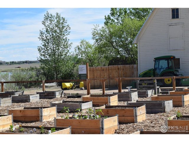 3425 Triano Creek Dr 101, Loveland, CO 80538