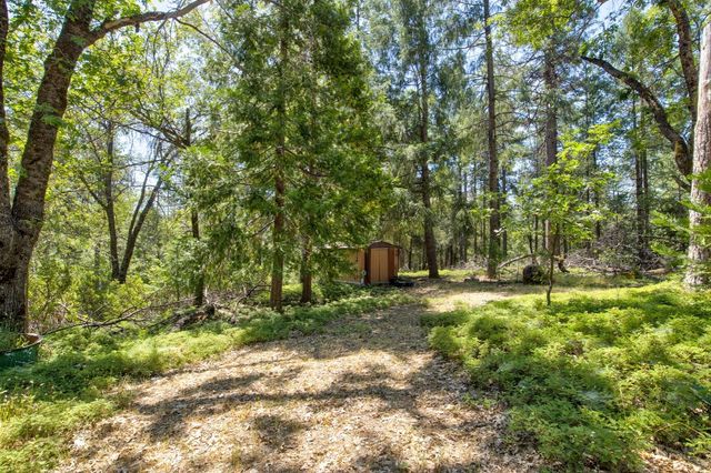 22400 Clute Canyon Rd, Volcano, CA 95689