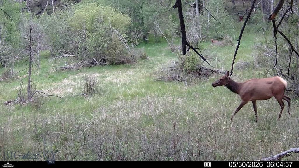 TBD Powerline Road, Boulder, MT 59632 — photo 3
