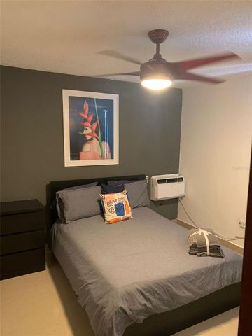 171 SAN JORGE STREET 702, Santurce, PR 00911