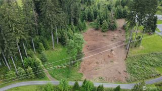 0 Dahlman Road, Castle Rock, WA 98611