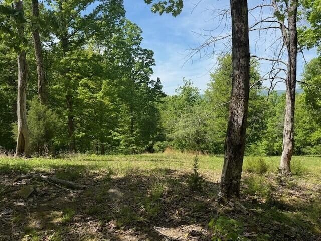 0 Pitts Gap Mtn Road, Pikeville, TN 37367