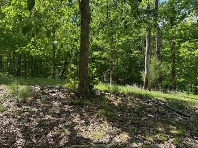 0 Pitts Gap Mtn Road, Pikeville, TN 37367