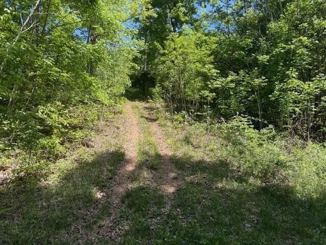 0 Pitts Gap Mtn Road, Pikeville, TN 37367