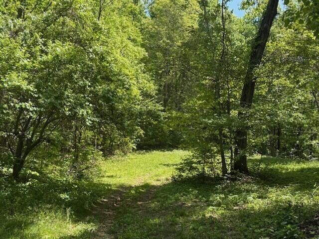 0 Pitts Gap Mtn Road, Pikeville, TN 37367