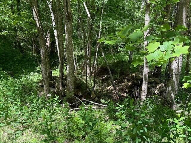 0 Pitts Gap Mtn Road, Pikeville, TN 37367