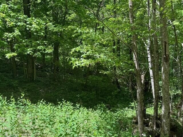 0 Pitts Gap Mtn Road, Pikeville, TN 37367