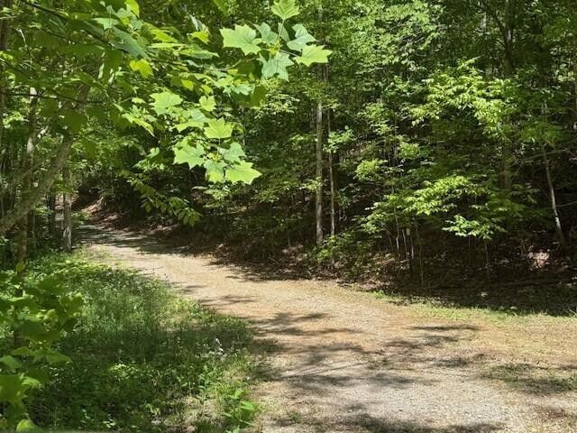 0 Pitts Gap Mtn Road, Pikeville, TN 37367