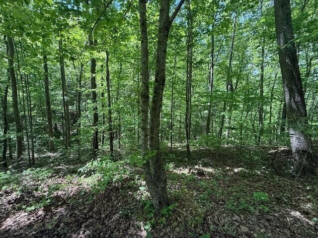 0 Pitts Gap Mtn Road, Pikeville, TN 37367