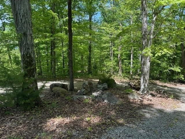 0 Pitts Gap Mtn Road, Pikeville, TN 37367