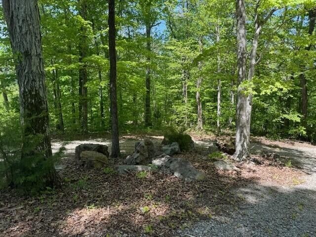 0 Pitts Gap Mtn Road, Pikeville, TN 37367