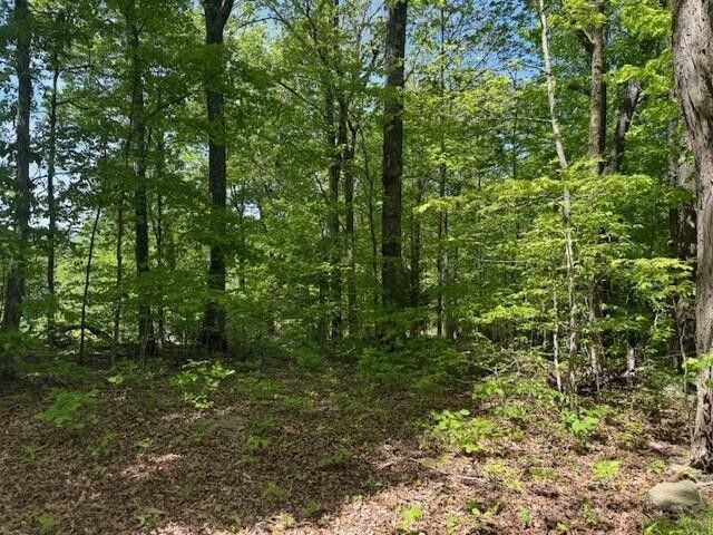 0 Pitts Gap Mtn Road, Pikeville, TN 37367