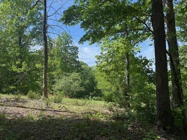 0 Pitts Gap Mtn Road, Pikeville, TN 37367