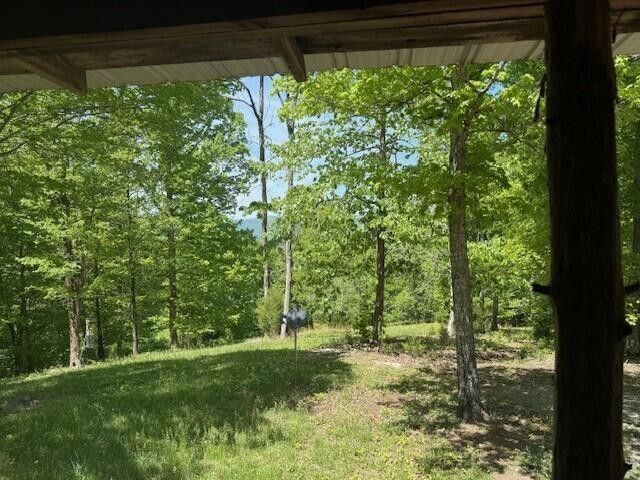 0 Pitts Gap Mtn Road, Pikeville, TN 37367