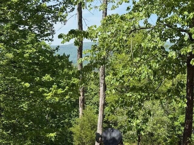 0 Pitts Gap Mtn Road, Pikeville, TN 37367