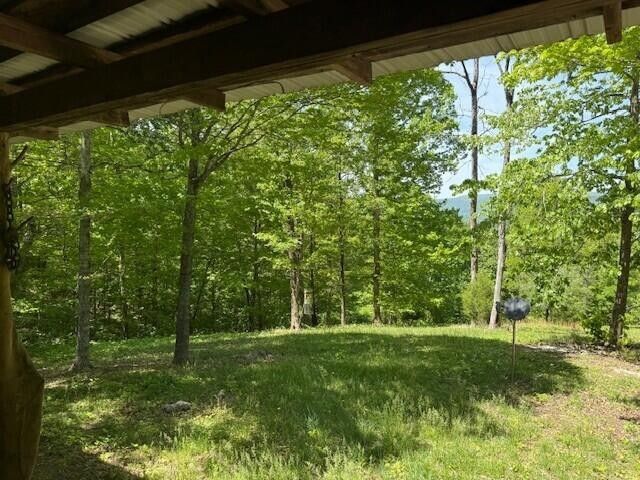0 Pitts Gap Mtn Road, Pikeville, TN 37367