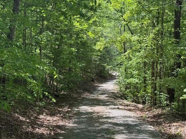 0 Pitts Gap Mtn Road, Pikeville, TN 37367
