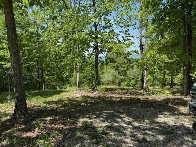 0 Pitts Gap Mtn Road, Pikeville, TN 37367