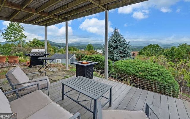 1130 Buckeye Lane, Hiawassee, GA 30546