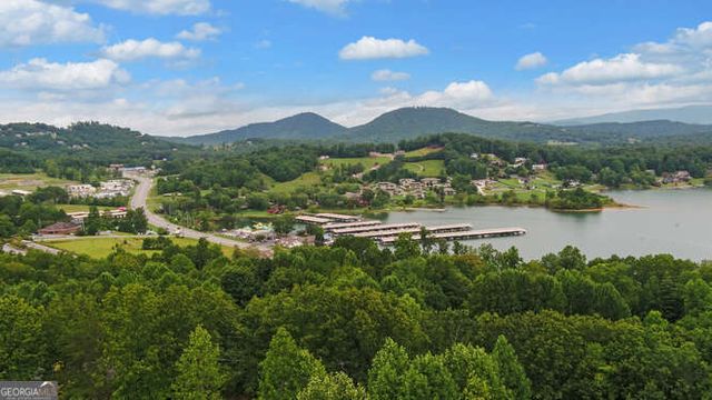 1130 Buckeye Lane, Hiawassee, GA 30546