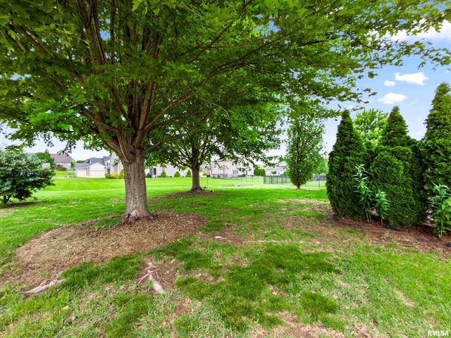 11517 N DUNMORE Drive, Dunlap, IL 61525