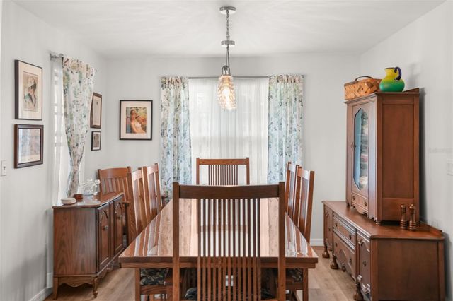 1338 HEIM ROAD, Mount Dora, FL 32757