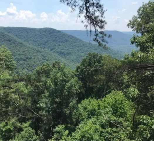 Lot 41 Wohalie Lane 41, South Pittsburg, TN 37380