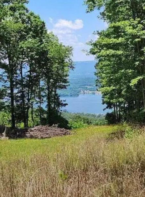Lot 41 Wohalie Lane 41, South Pittsburg, TN 37380