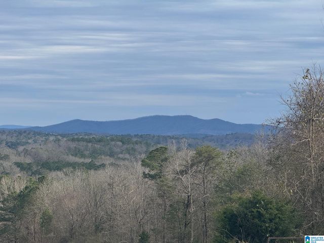 3953 LOGAN MARTIN DAM ROAD, Cropwell, AL 35054