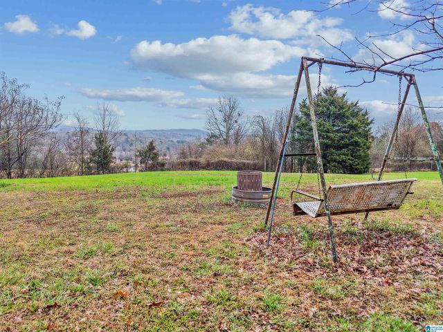 3953 LOGAN MARTIN DAM ROAD, Cropwell, AL 35054