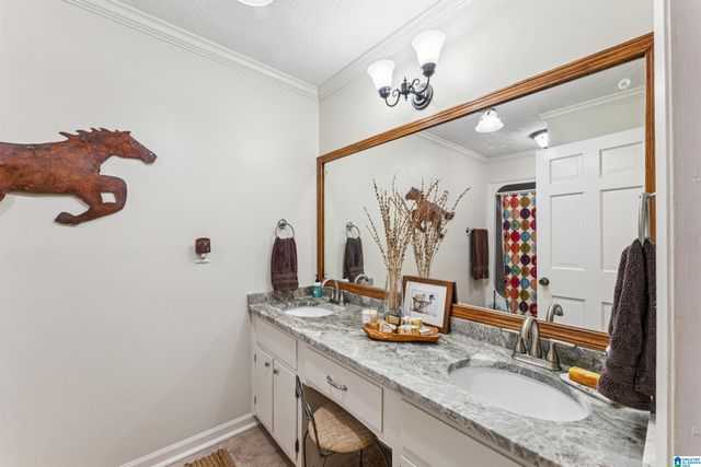 3953 LOGAN MARTIN DAM ROAD, Cropwell, AL 35054