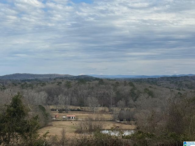 3953 LOGAN MARTIN DAM ROAD, Cropwell, AL 35054