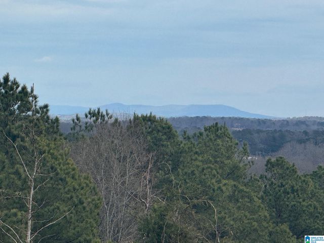 3953 LOGAN MARTIN DAM ROAD, Cropwell, AL 35054